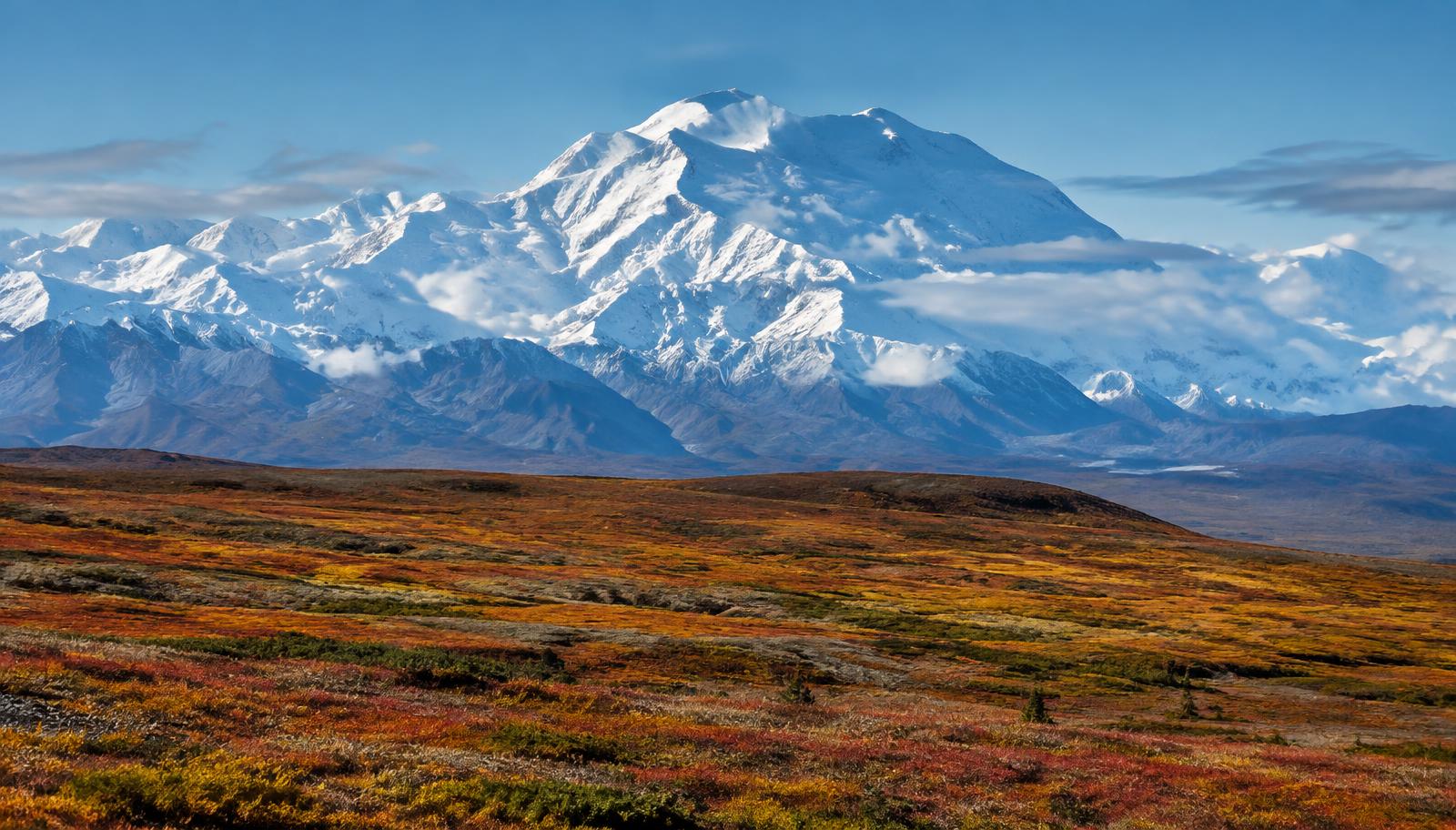 Denali above autumn tundra